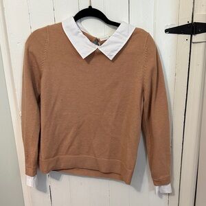 Classic Tan Sweater with White Collar